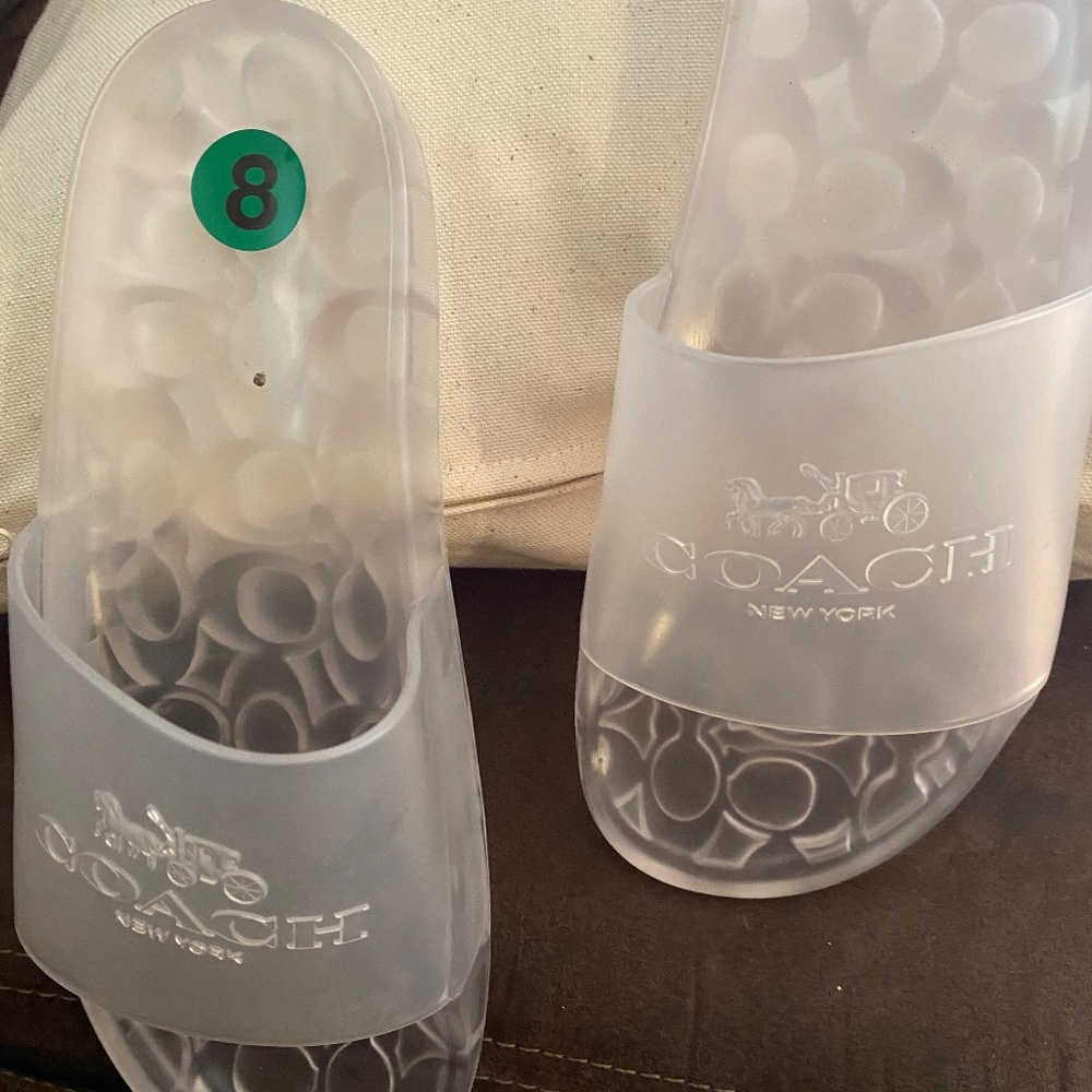 Coach clear slides